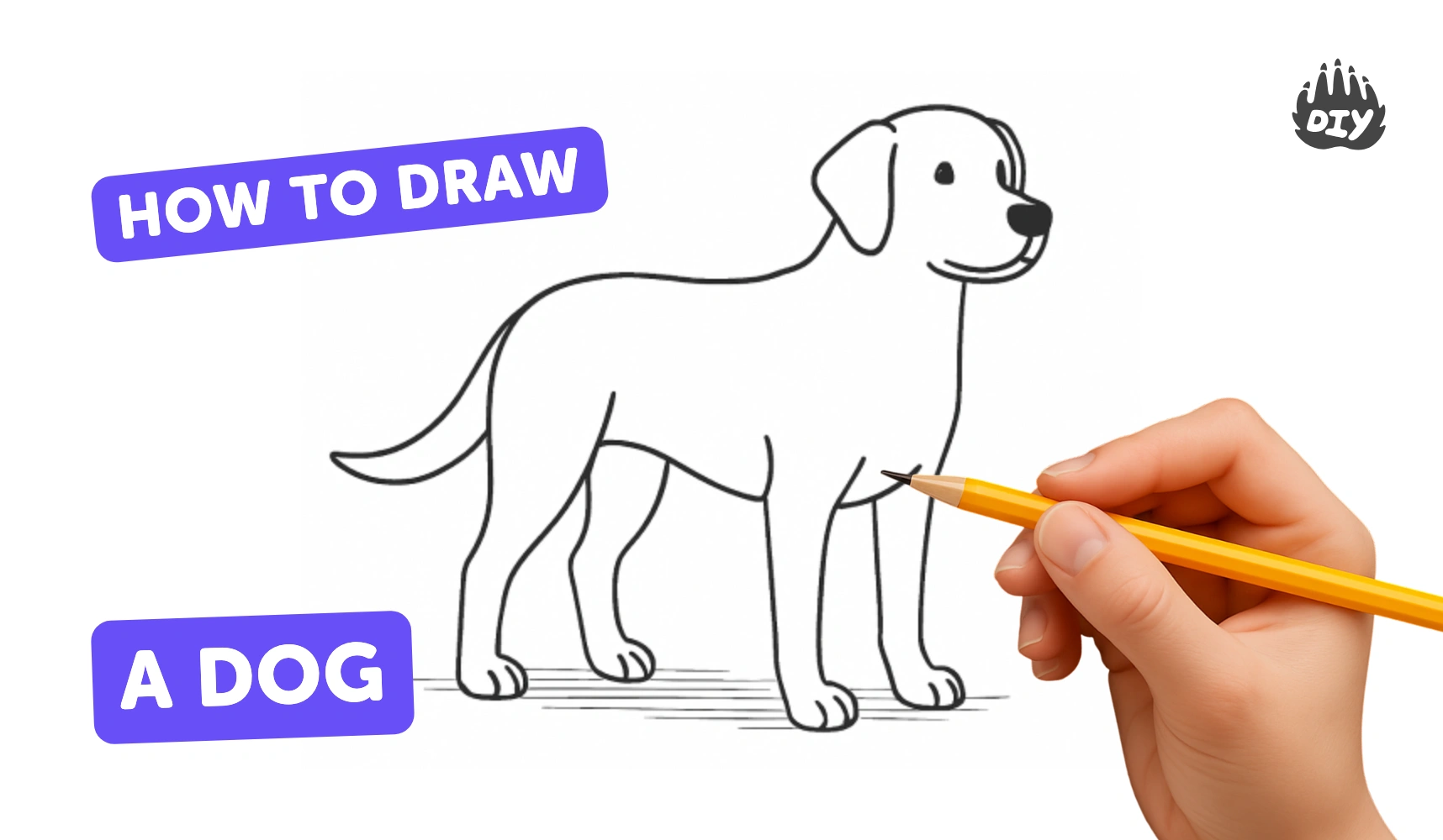 How To Draw A Dog Drawing Projects For Kids